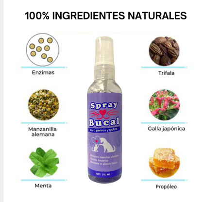 Spray Bucal Para Perros y Gatos 100 ML