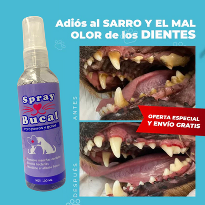 Spray Bucal Para Perros y Gatos 100 ML